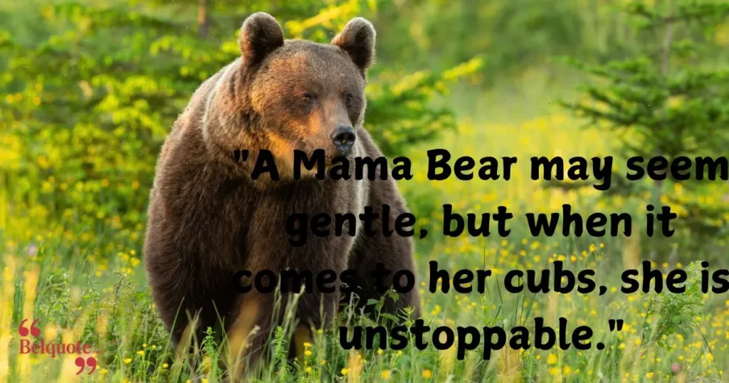 A Mama Bear May Seem Gentle