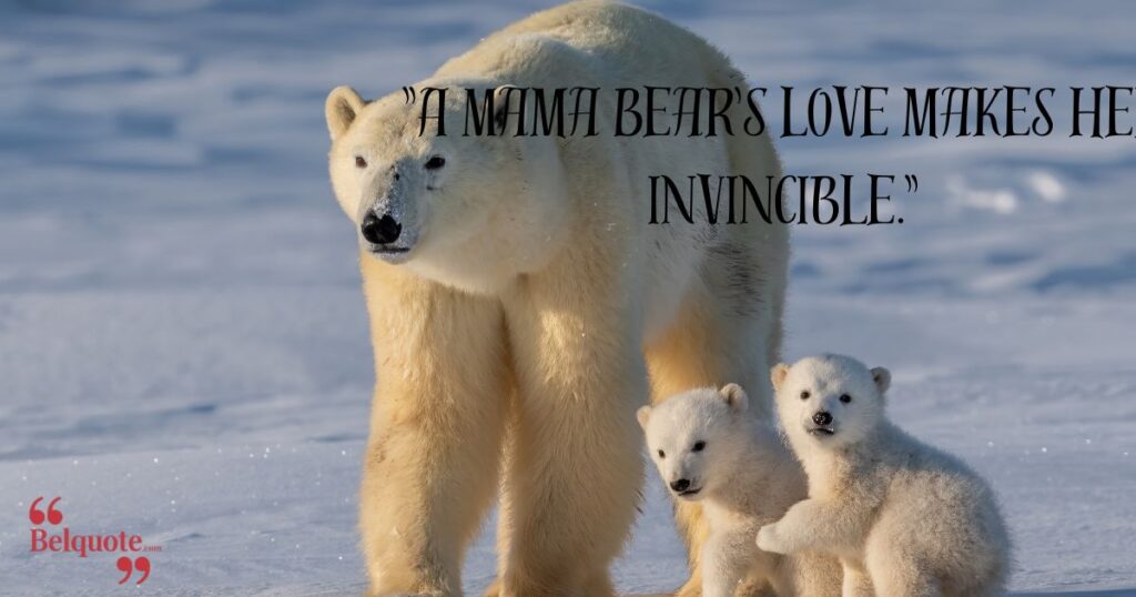 A Mama Bears Love