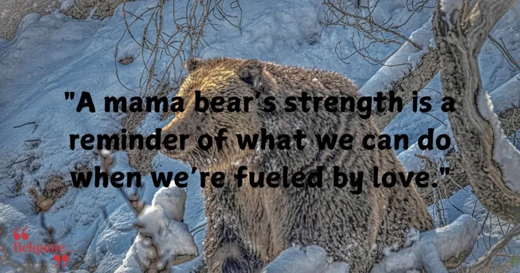 A Mama Bears Strength