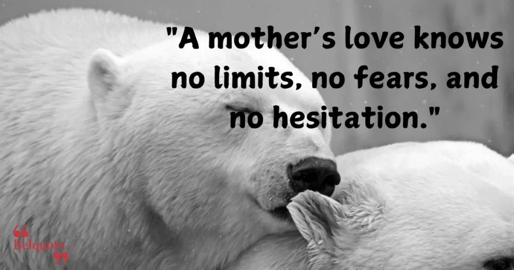 A Mothers Love Knows No Limits