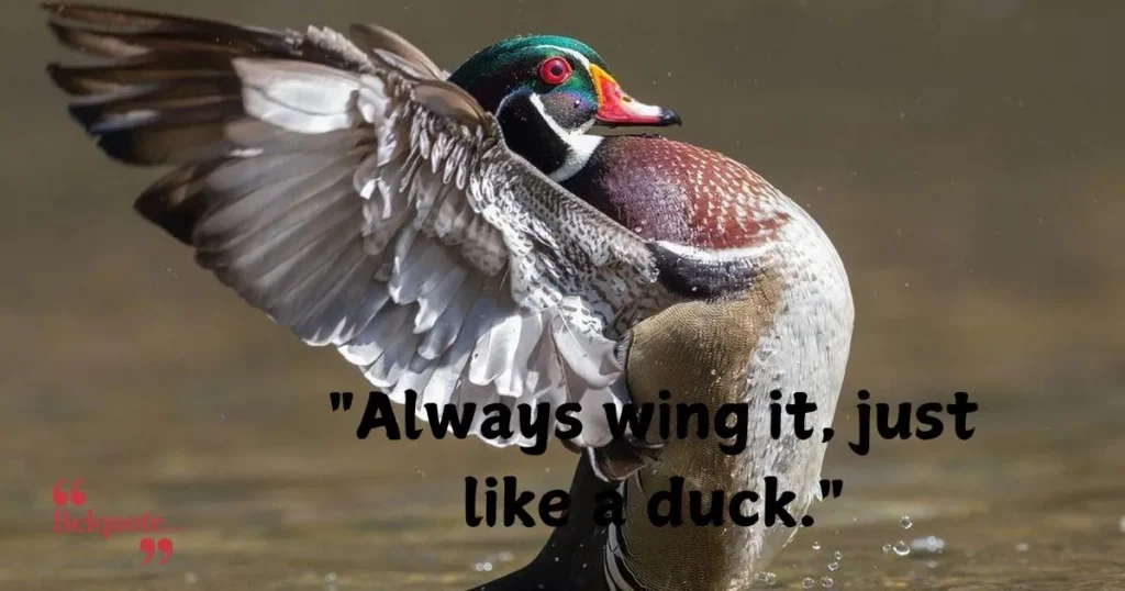 Always Wing It Just Like A Duck