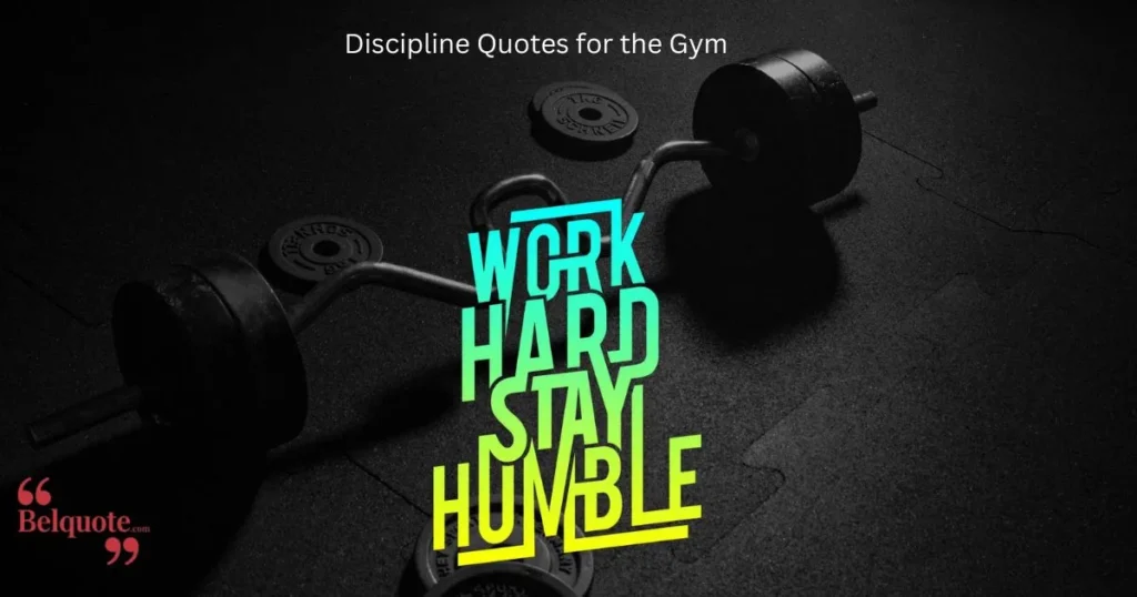 Discipline Quotes For The Gym