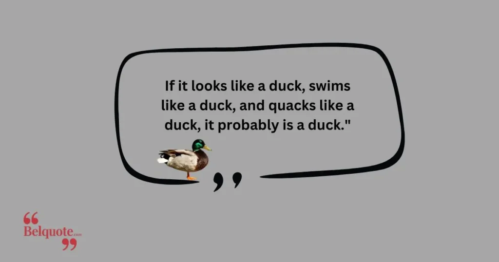 If It Looks Like A Duck