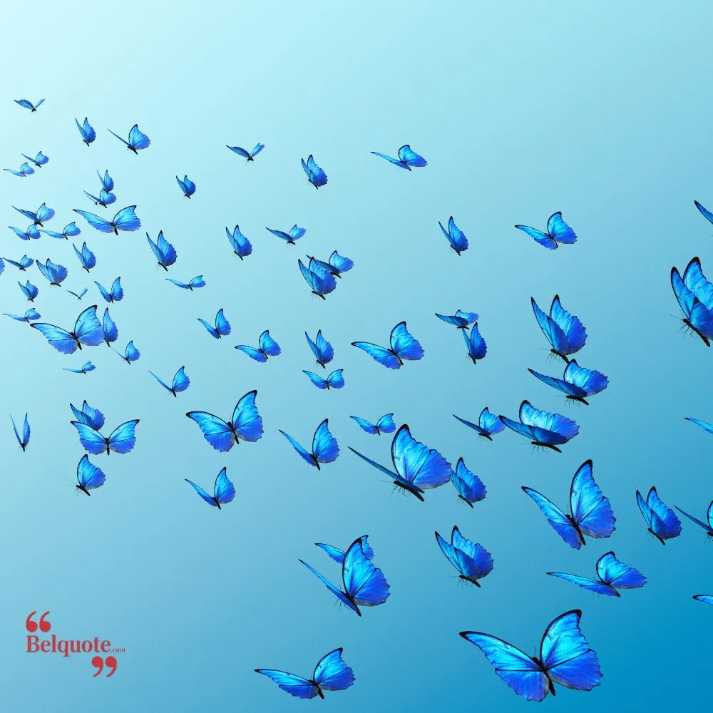 Life Is Like Flying A Butterfly