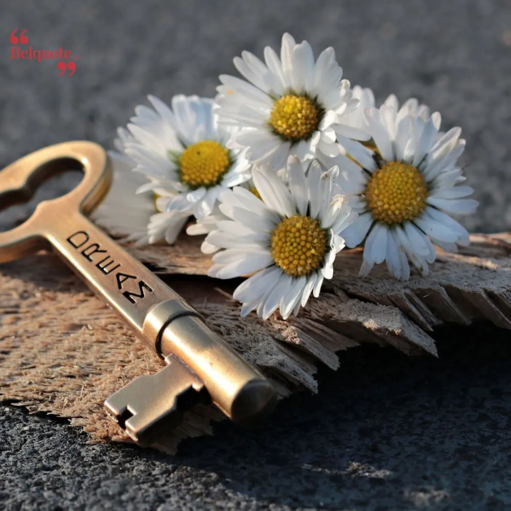 Poems Feature Daisies As Symbols