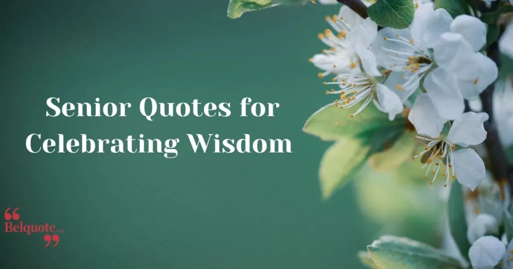 Senior Quotes For Celebrating Wisdom